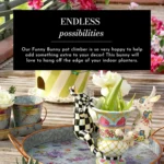 67868f9d0b1e8c2431ca6671_81WPet7pEmL._AC_SL1500_